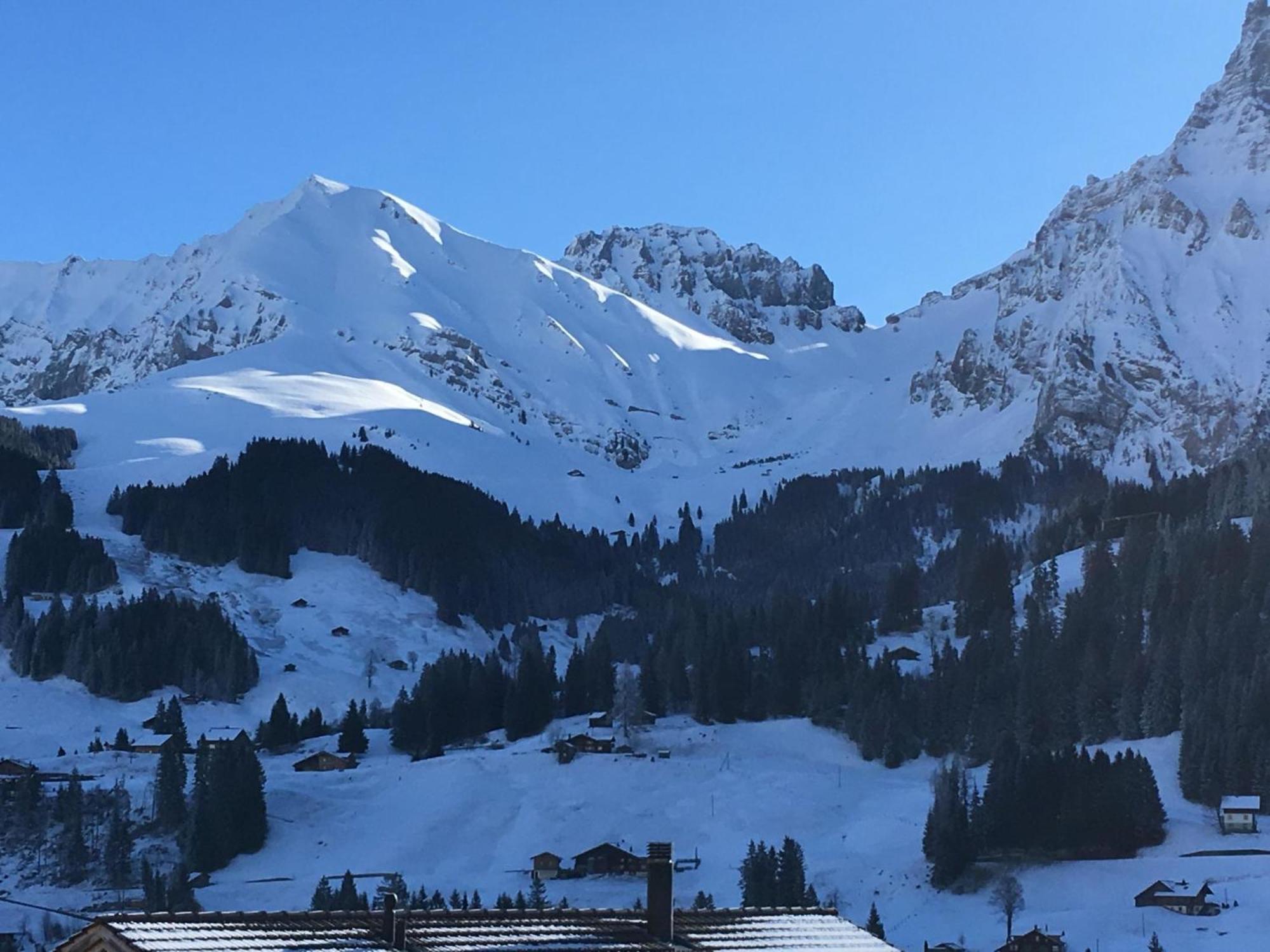 Apartment Hari By Interhome Adelboden Eksteriør bilde