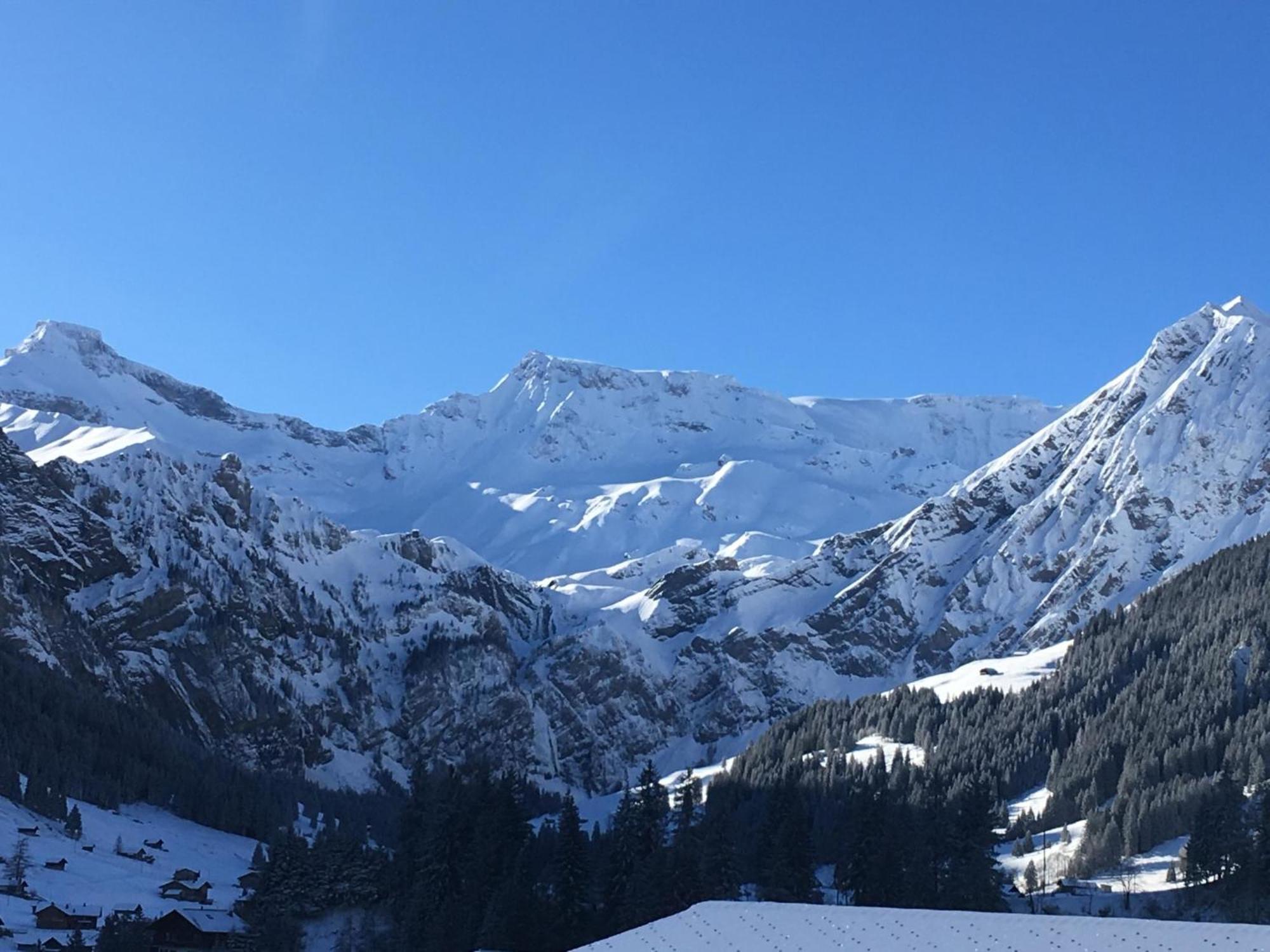 Apartment Hari By Interhome Adelboden Eksteriør bilde